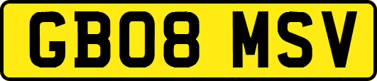 GB08MSV