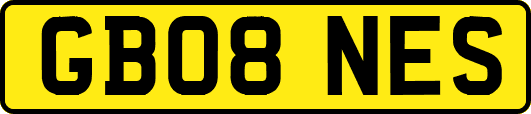 GB08NES