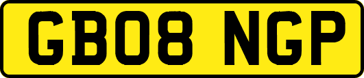 GB08NGP