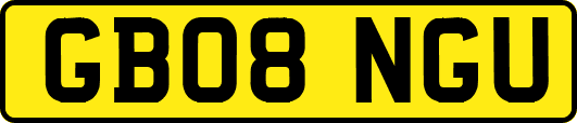 GB08NGU