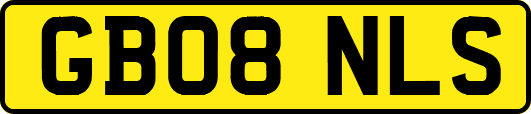 GB08NLS