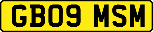 GB09MSM