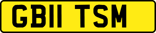 GB11TSM