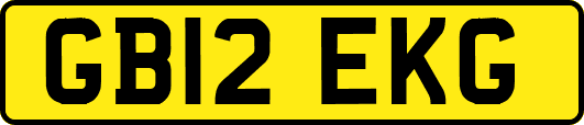 GB12EKG