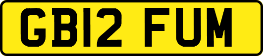 GB12FUM