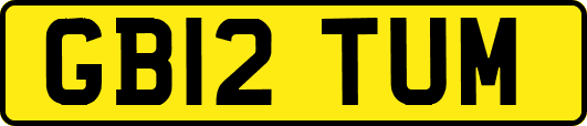 GB12TUM