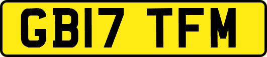 GB17TFM