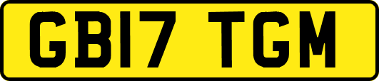 GB17TGM