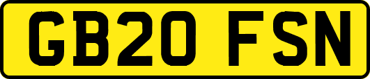 GB20FSN