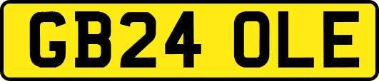 GB24OLE