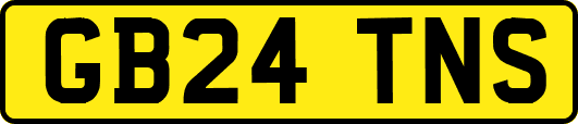 GB24TNS