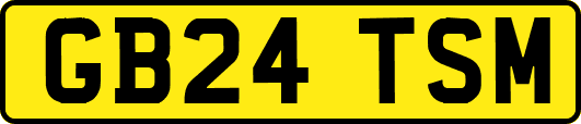 GB24TSM