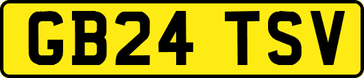 GB24TSV