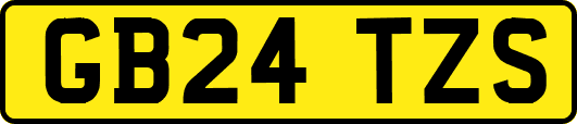 GB24TZS
