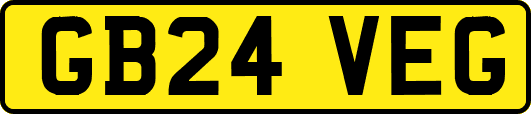 GB24VEG