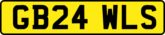 GB24WLS