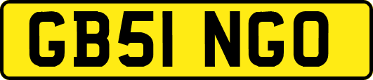 GB51NGO