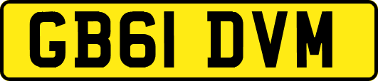 GB61DVM