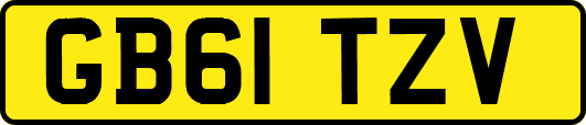 GB61TZV