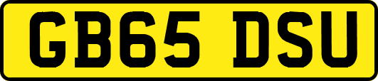GB65DSU