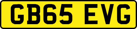 GB65EVG