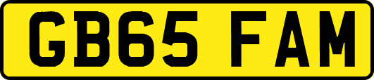 GB65FAM