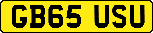 GB65USU