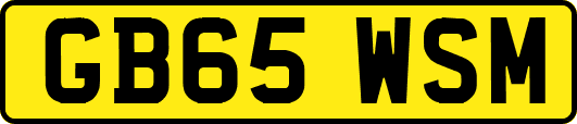 GB65WSM