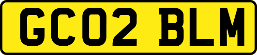 GC02BLM