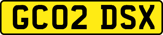 GC02DSX