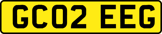 GC02EEG