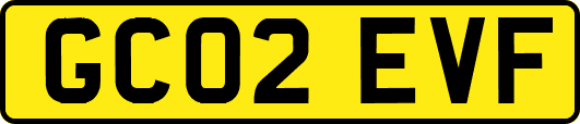 GC02EVF