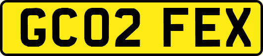 GC02FEX