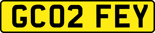 GC02FEY