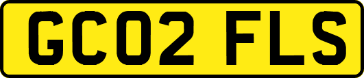 GC02FLS