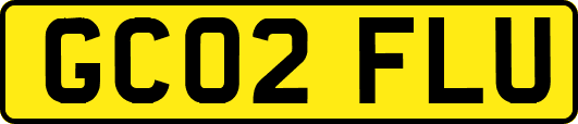 GC02FLU