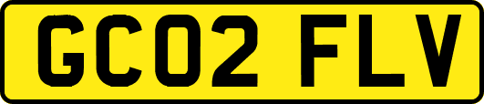 GC02FLV
