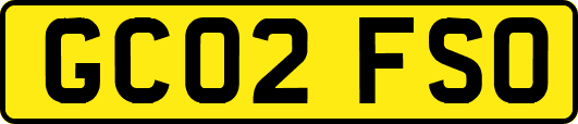 GC02FSO