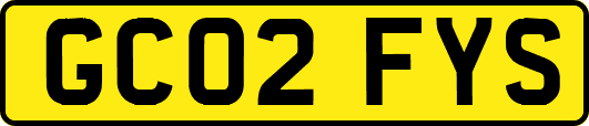GC02FYS