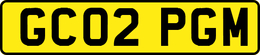GC02PGM