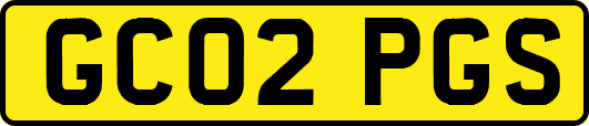 GC02PGS