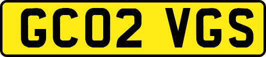 GC02VGS