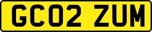 GC02ZUM