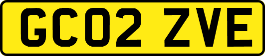 GC02ZVE