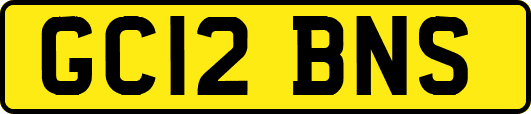 GC12BNS
