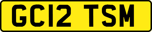 GC12TSM