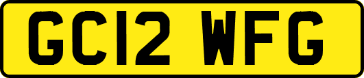 GC12WFG