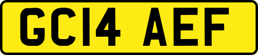 GC14AEF