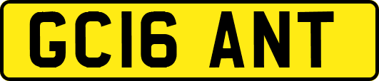 GC16ANT