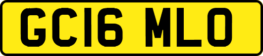 GC16MLO